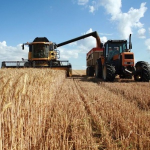 Правительство выделило ещё 25 млрд рублей на предоставление льготных кредитов аграриям